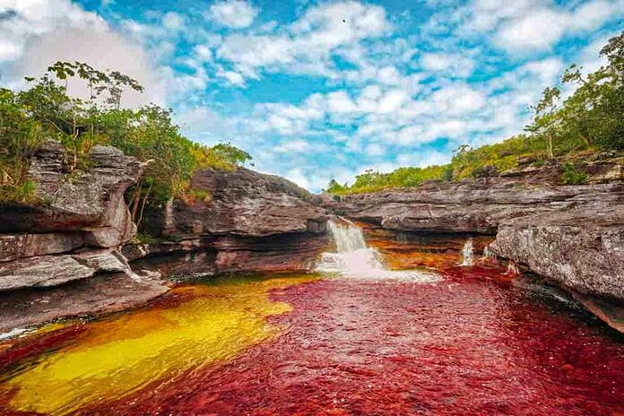 Caño Cristales en Colombie
