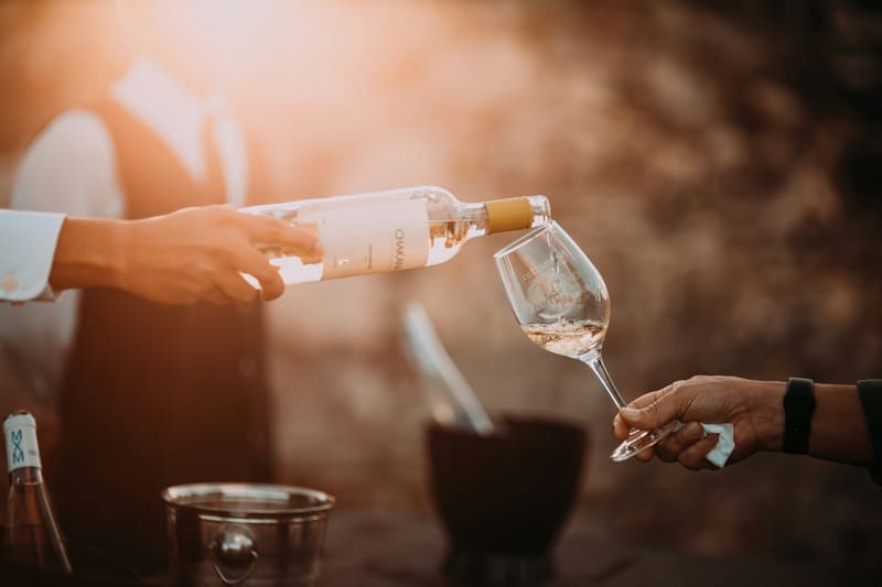 Dégustation de vin dans les vignes