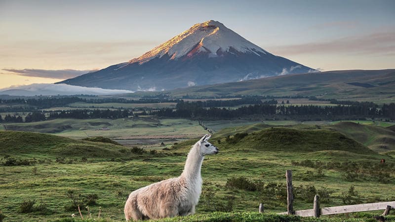 équateur destination voyage 2020