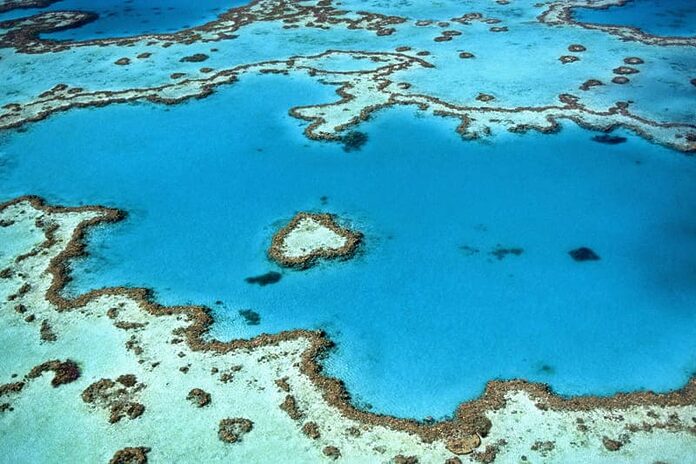 Grande barrière de corail en Australie