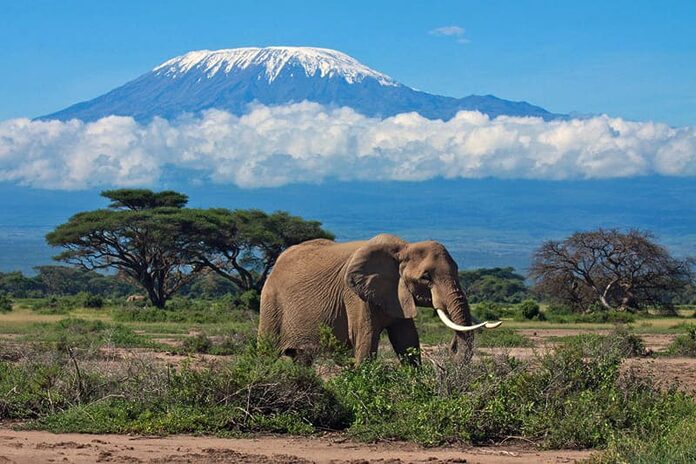 Kilimandjaro en Tanzanie