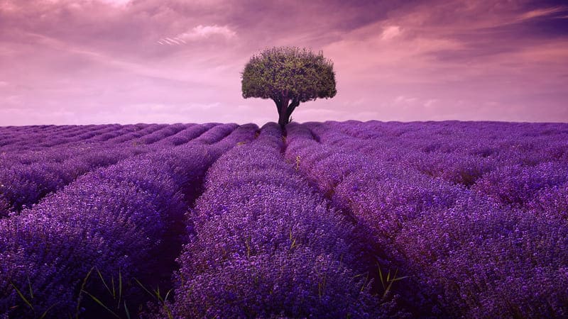 meilleure destination voyage 2020 france