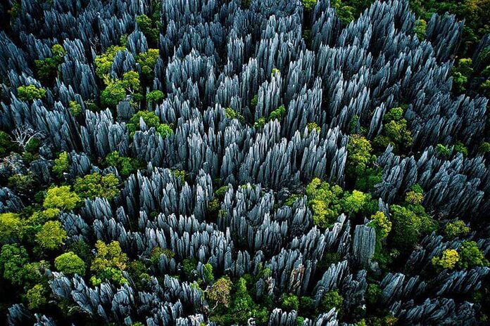 Tsingy de Bemaraha une des plus belles destinations de Madagascar