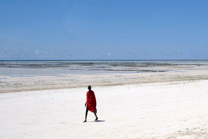 Ile de Zanzibar en Tanzanie